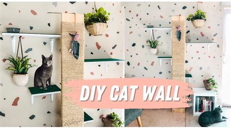 renter friendly cat shelves|Cat shelves (rental friendly) : r/CatAdvice